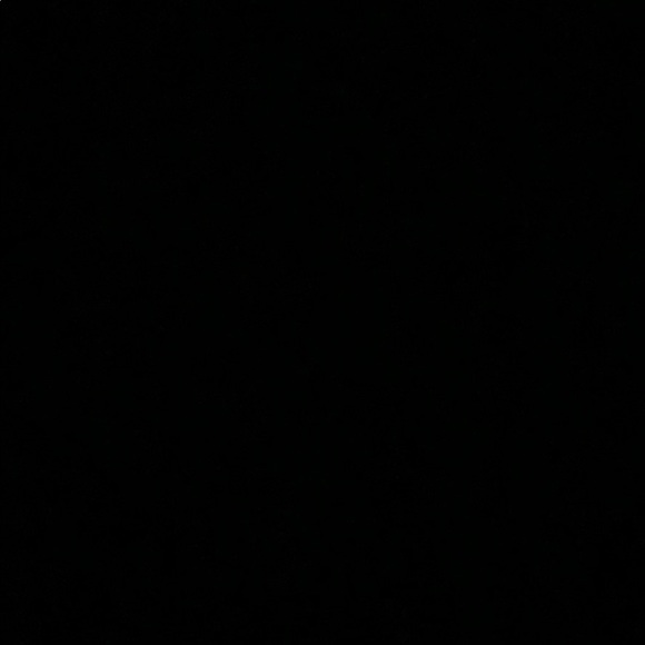 Meet your Posher, Izayah - Picture 1 of 1